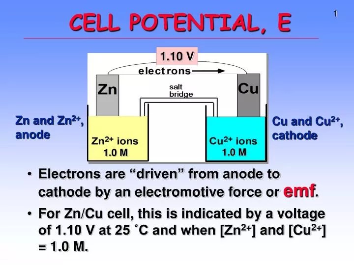 PPT CELL POTENTIAL, E PowerPoint Presentation, free