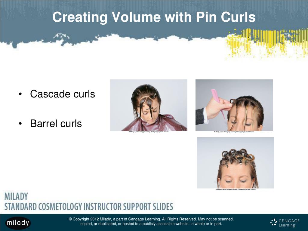 PPT Chapter 17 Hairstyling PowerPoint Presentation, free download ID3223335