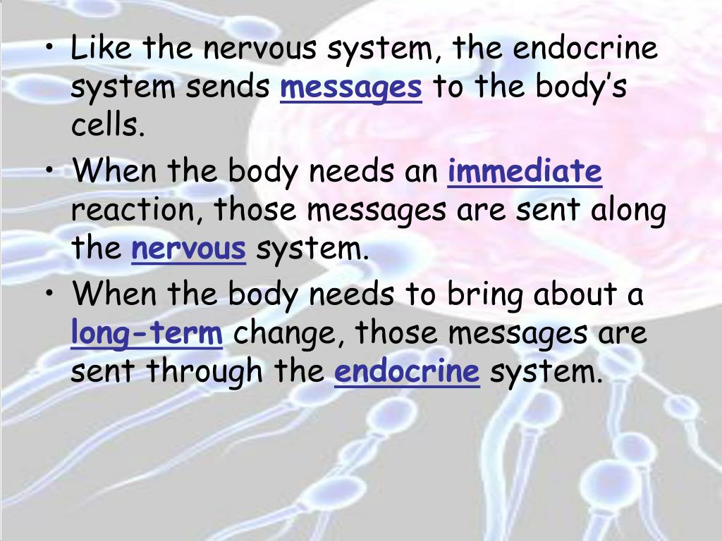 PPT CHAPTER 39 THE ENDOCRINE AND REPRODUCTIVE SYSTEMS PowerPoint