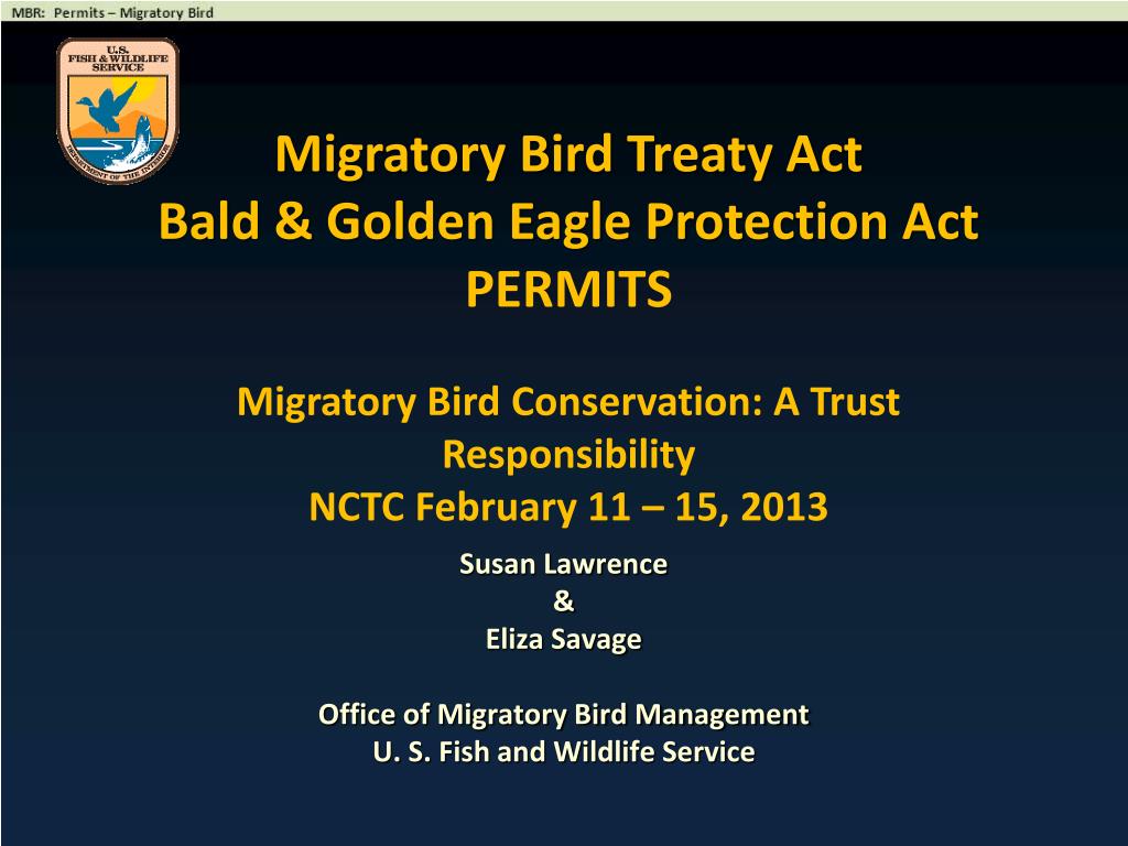 PPT Migratory Bird Treaty Act Bald & Golden Eagle Protection Act