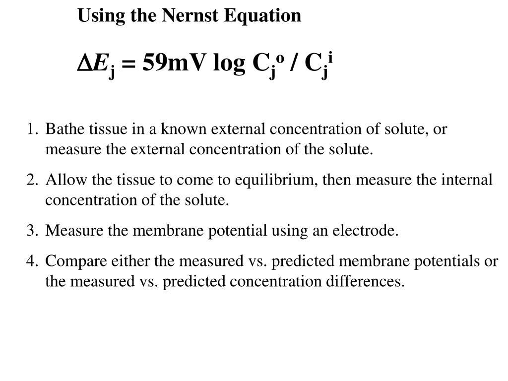 PPT THE NERNST EQUATION RELATES THE MEMBRANE POTENTIAL TO THE