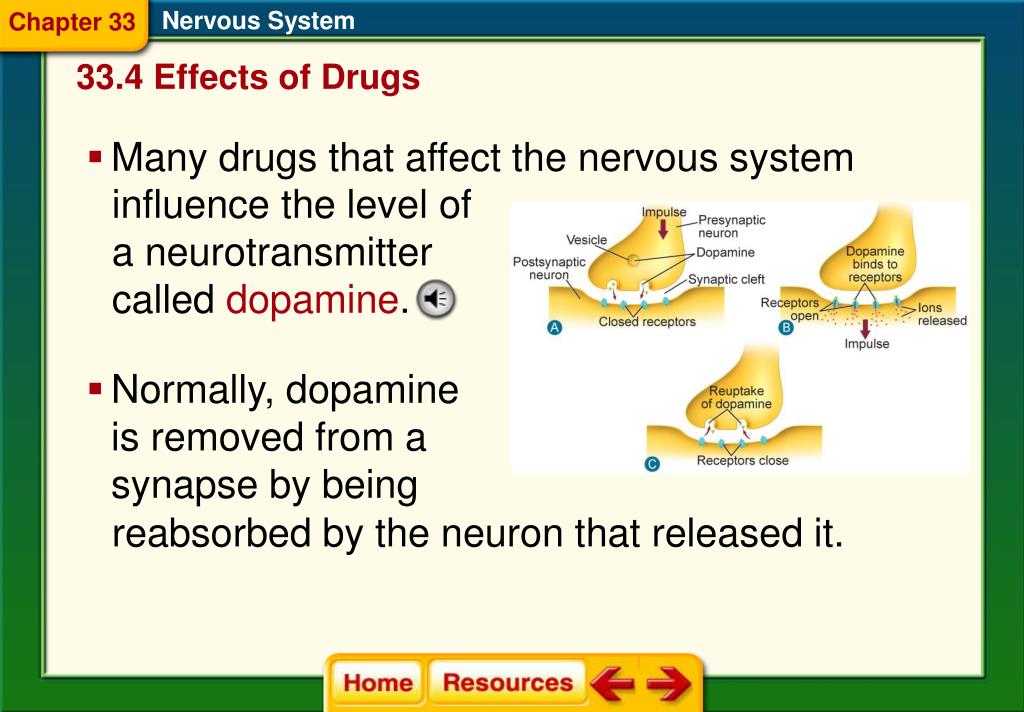 PPT Chapter 33 Nervous System PowerPoint Presentation, free download