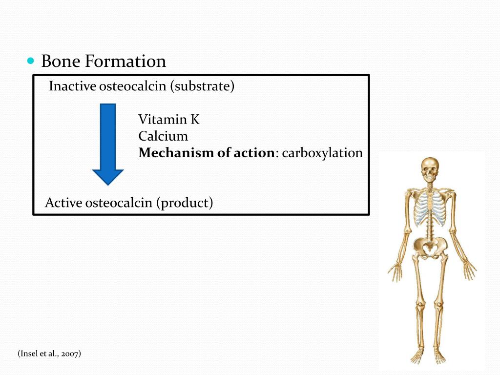 PPT What is the Relationship Between Vitamin K and Cancer? PowerPoint