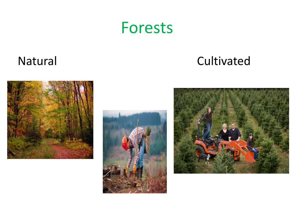PPT Virginia’s Natural Resources PowerPoint Presentation, free