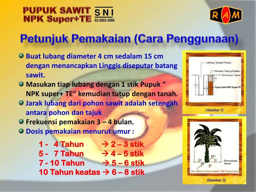 PPT PUPUK SAWIT PowerPoint Presentation, free download