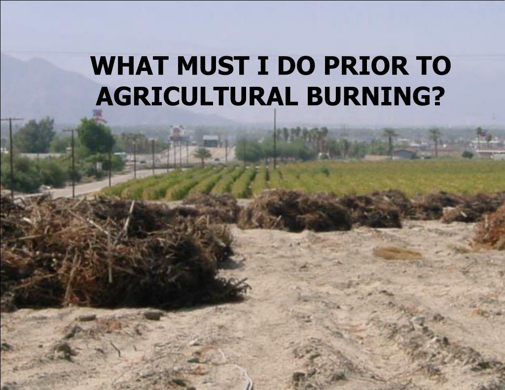 PPT Rule 208 Permit and Burn Authorization for Open Burning, and