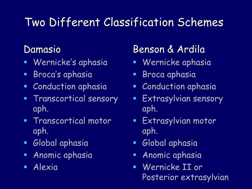 PPT Types of Aphasia PowerPoint Presentation, free download ID3256446