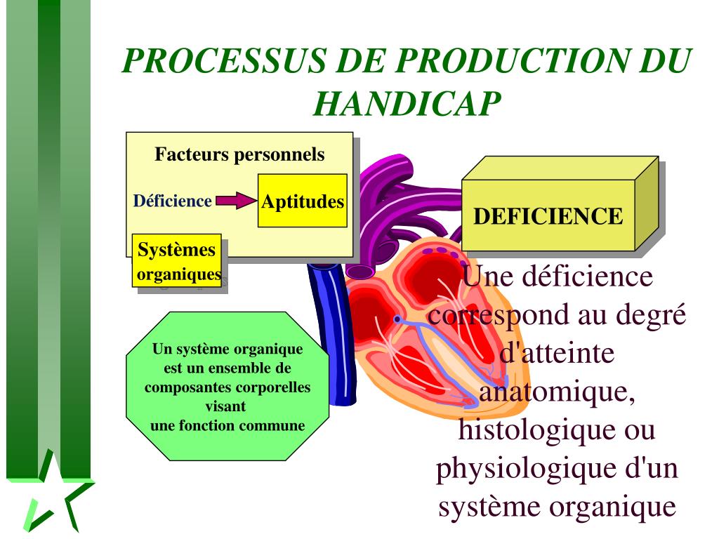 PPT Concept de SANTE PowerPoint Presentation, free download ID