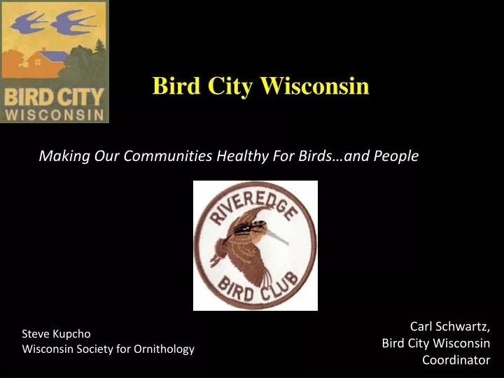 PPT Bird City Wisconsin PowerPoint Presentation, free download ID
