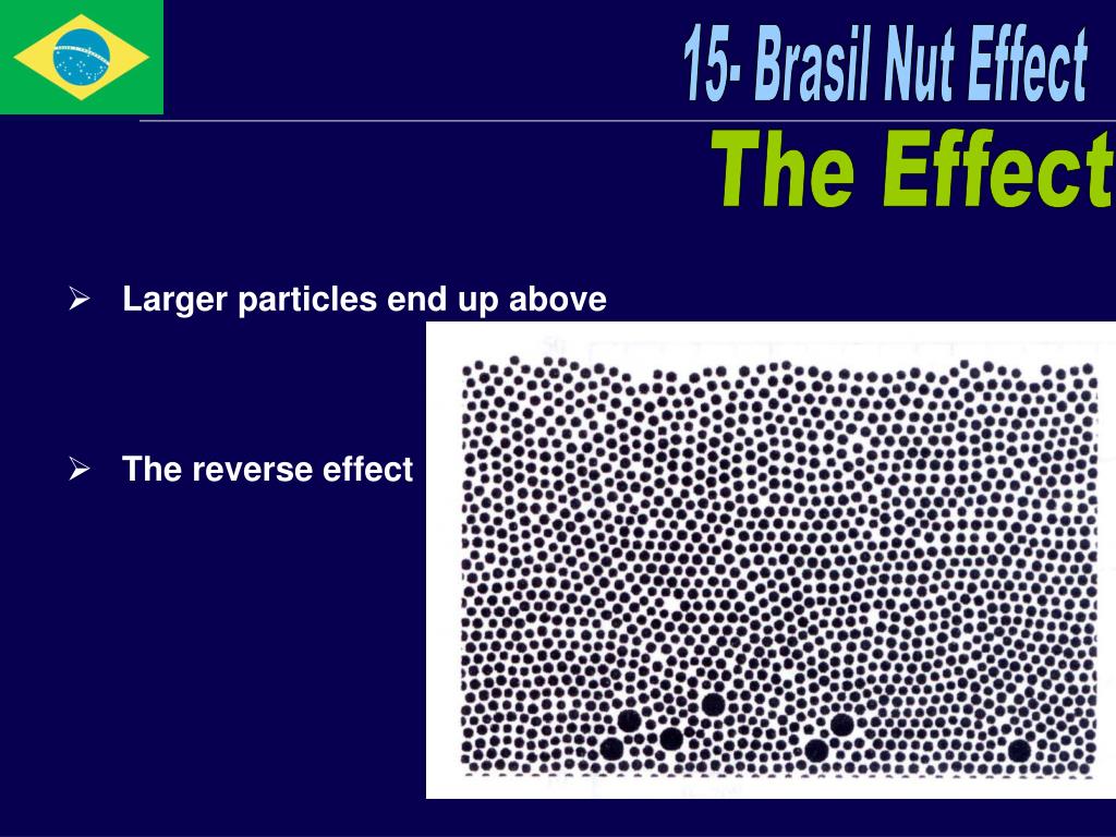 PPT 15 Brasil Nut Effect PowerPoint Presentation, free download ID