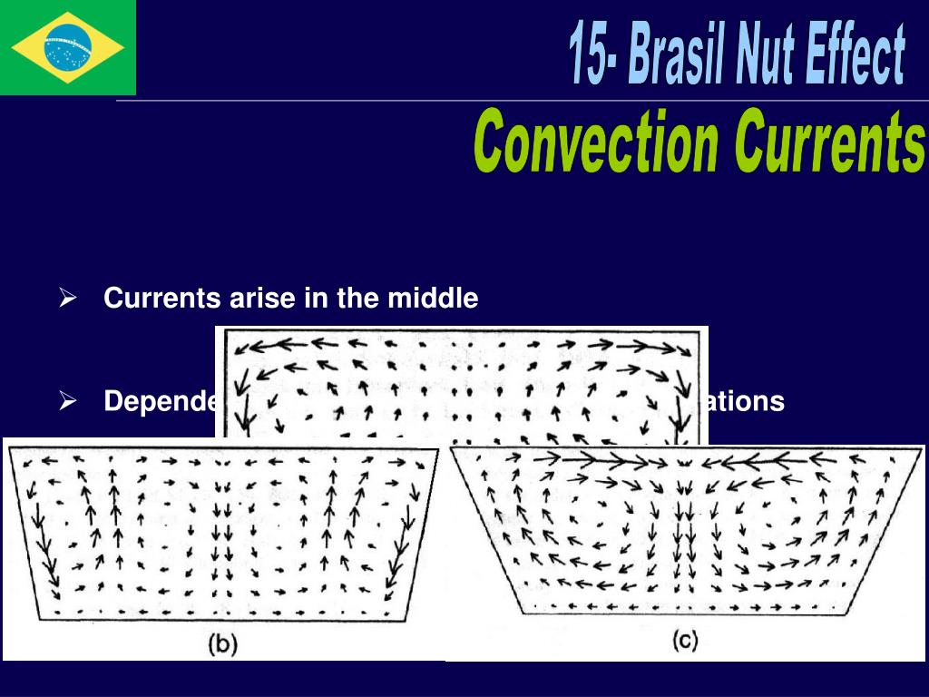 PPT 15 Brasil Nut Effect PowerPoint Presentation, free download ID