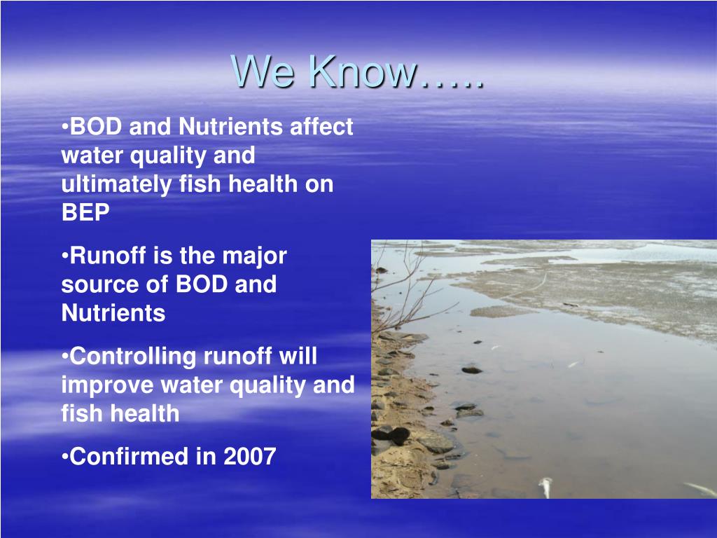 PPT Big Eau Pleine Reservoir Water Quality PowerPoint Presentation