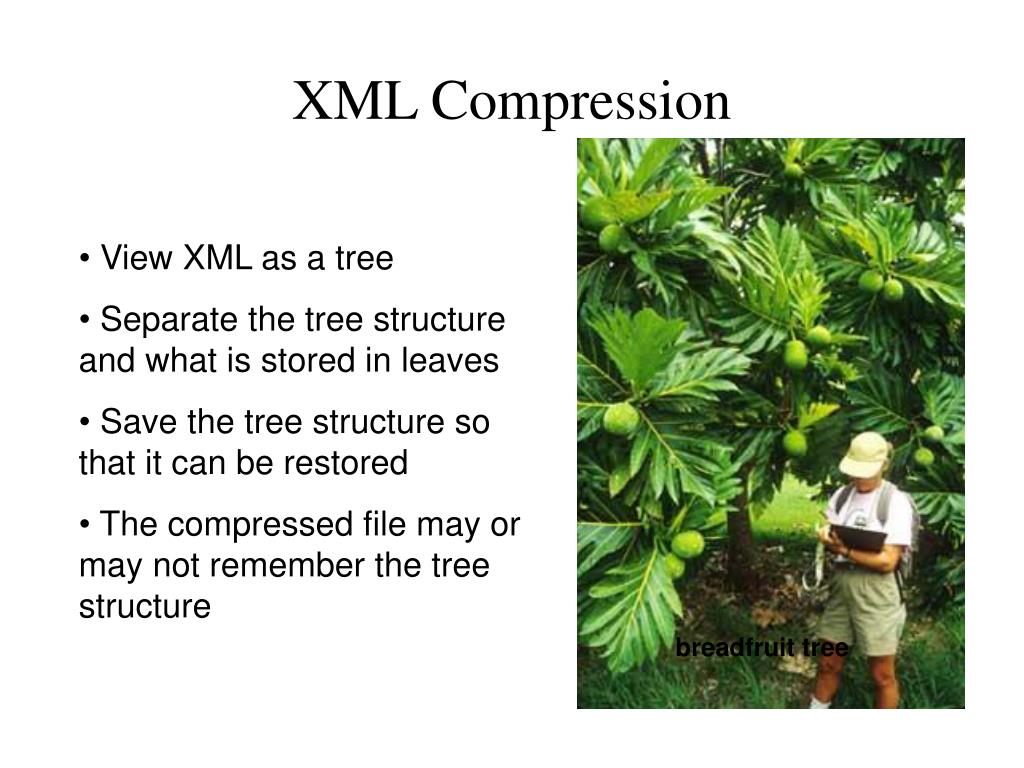 PPT XML Compression PowerPoint Presentation, free download ID3270913