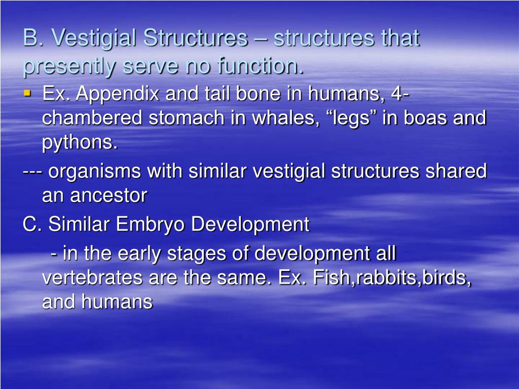 PPT Chap. 15 Darwin’s Theory of Evolution PowerPoint Presentation