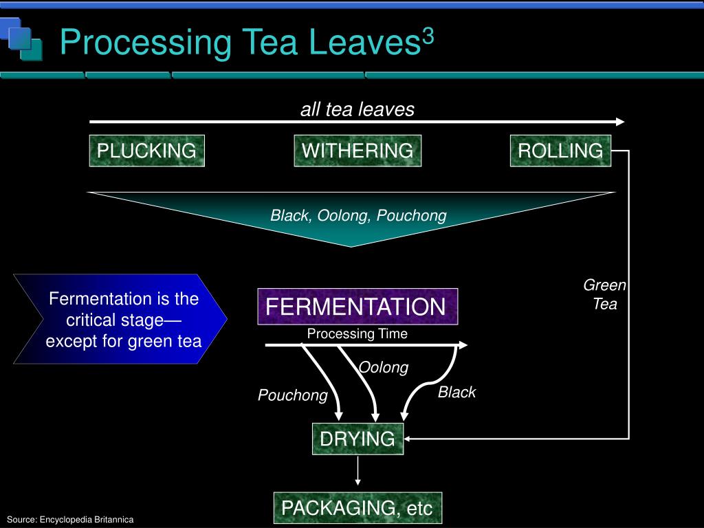 PPT Global Tea Industry PowerPoint Presentation, free download ID