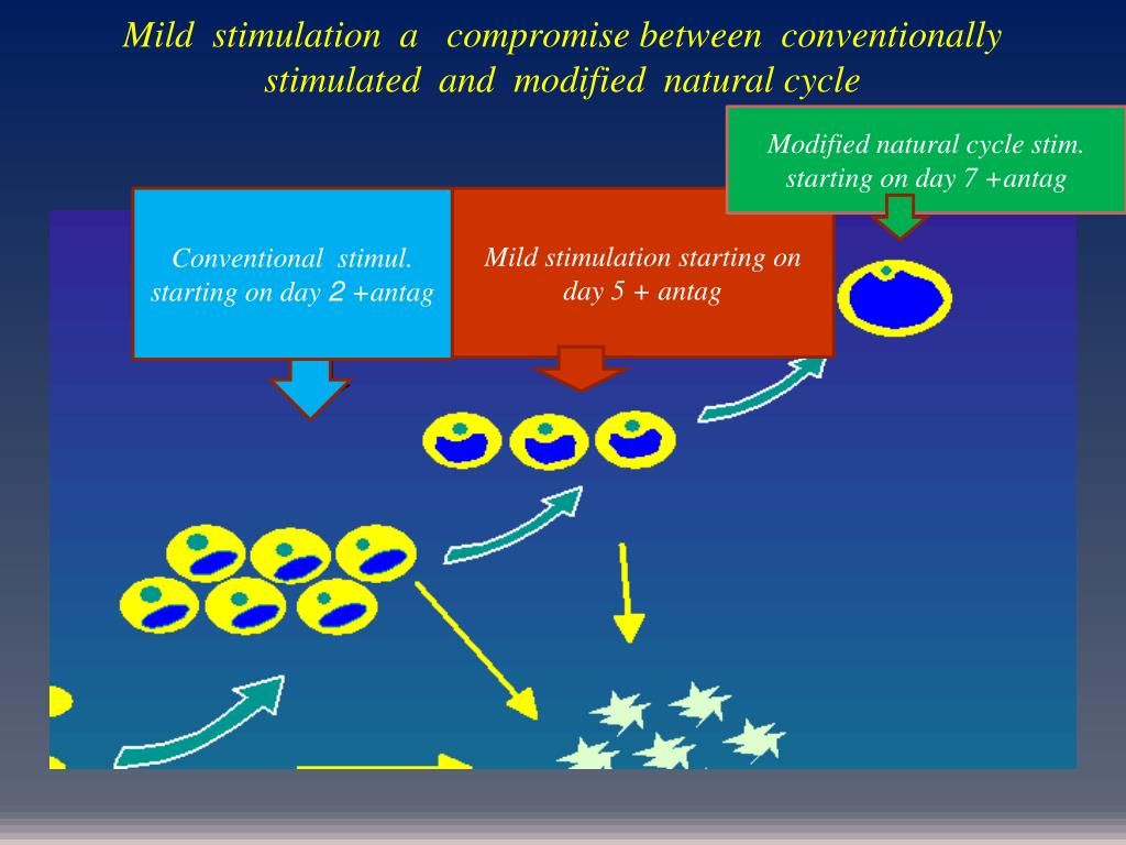 PPT From natural to mild IVF cycle PowerPoint Presentation, free