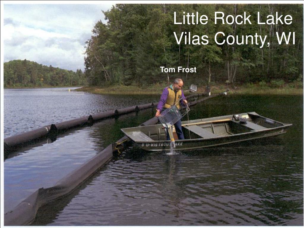 PPT Fish Community and Food  Responses to a Wholelake Removal of