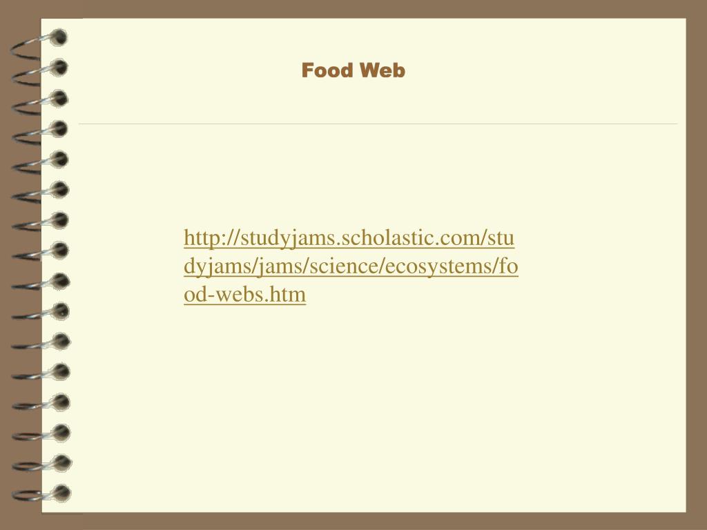 PPT Ecology PowerPoint Presentation, free download ID3281332