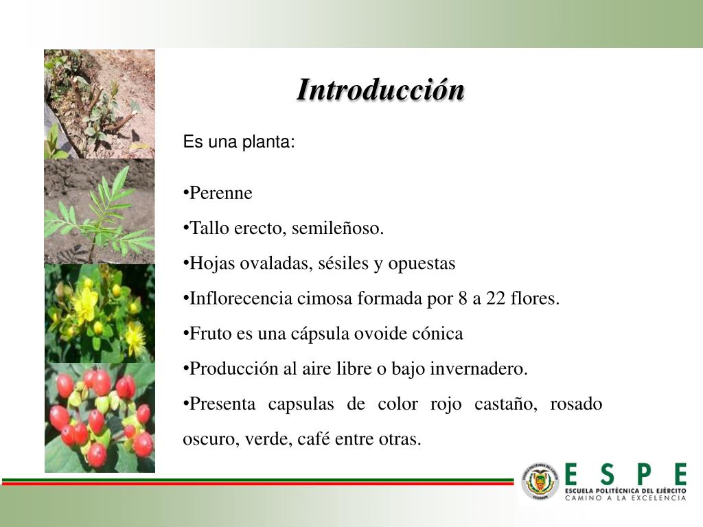 PPT Carrera de Ciencias Agropecuarias IASA PowerPoint Presentation