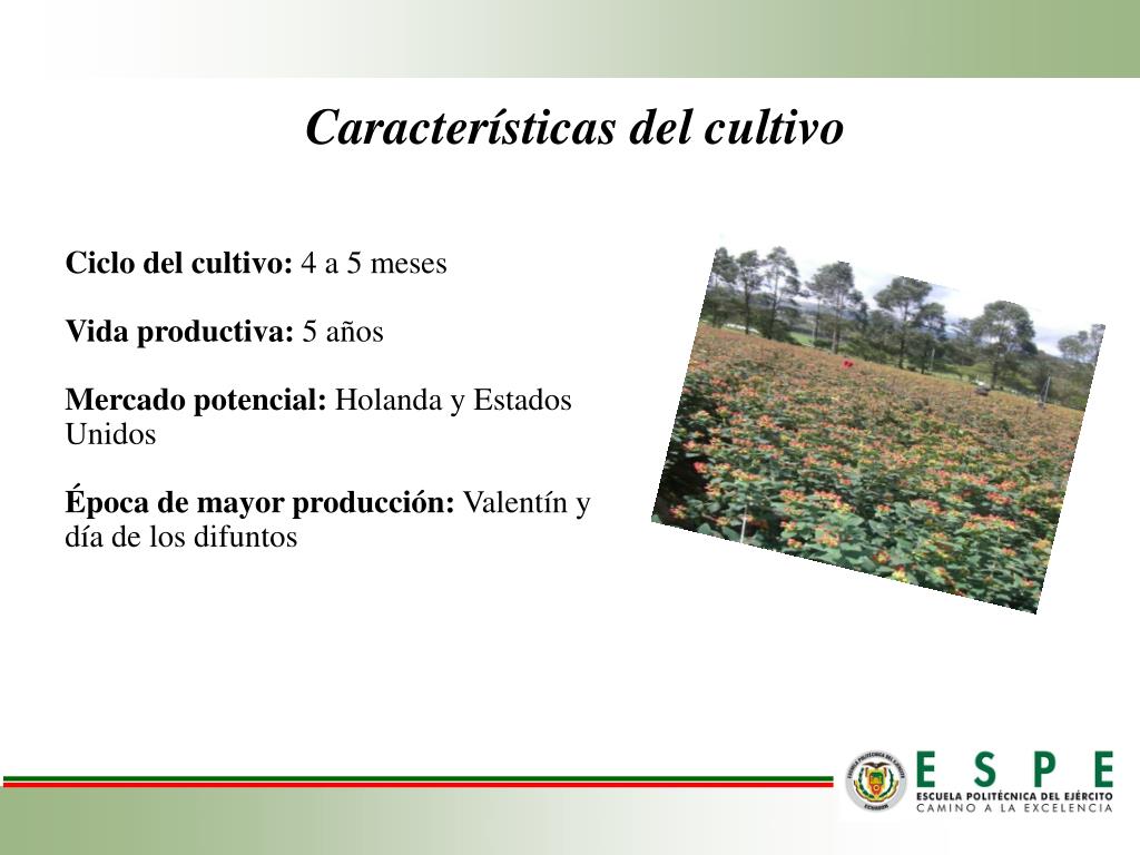 PPT Carrera de Ciencias Agropecuarias IASA PowerPoint Presentation