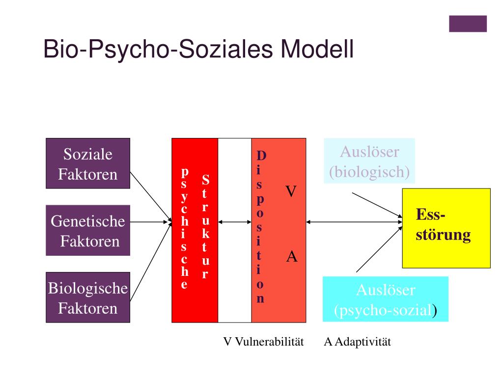 PPT Essstörungen PowerPoint Presentation, free download