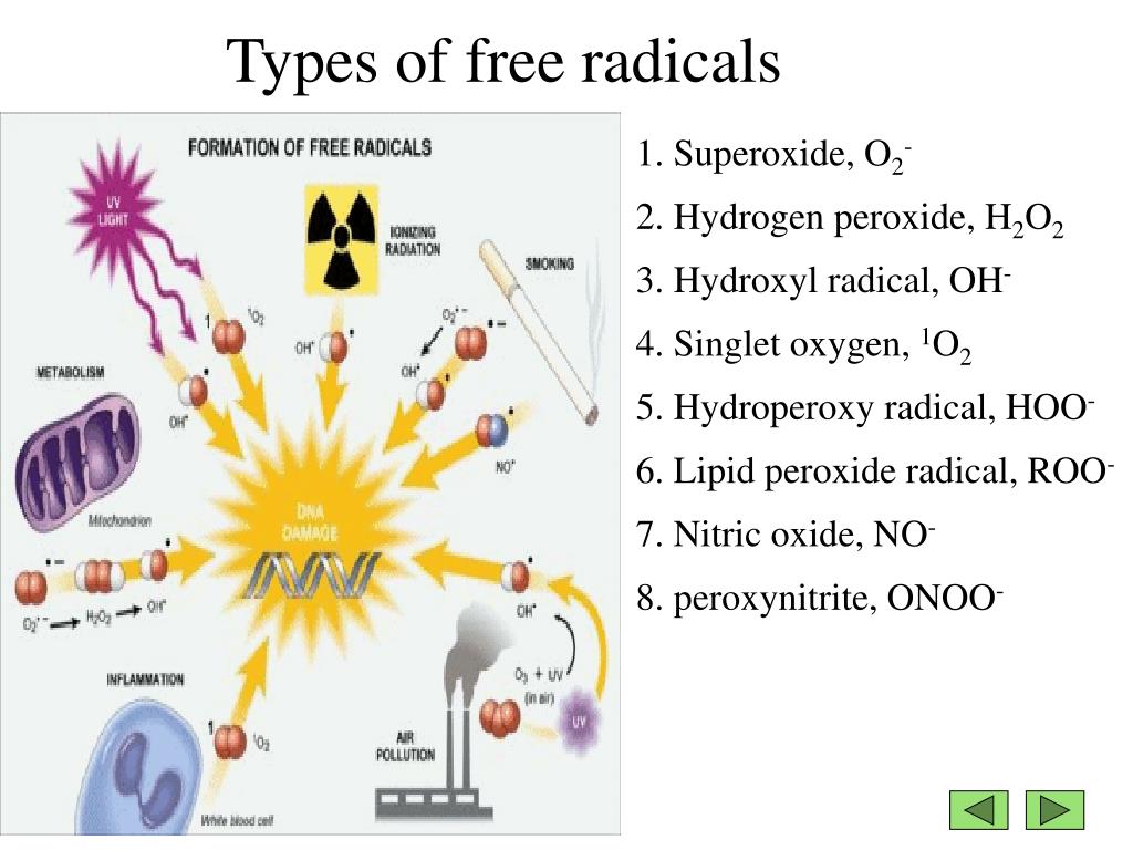 Free Radicals And Antioxidants Notes at Joseph Hopkins blog