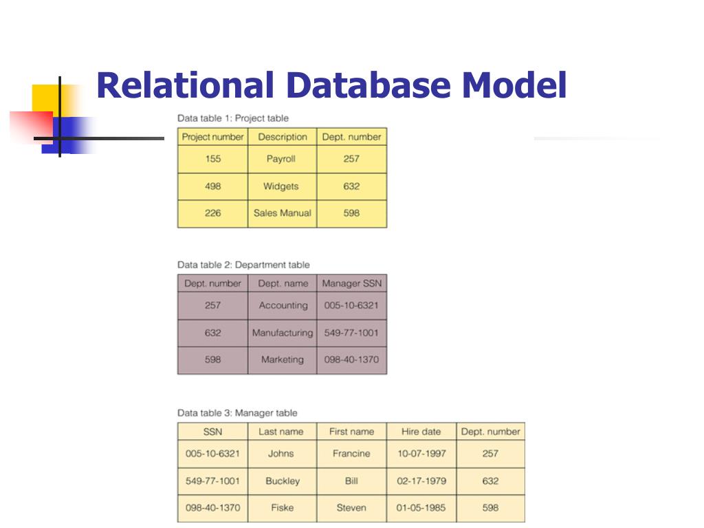 PPT Organizing Data and Information PowerPoint Presentation, free