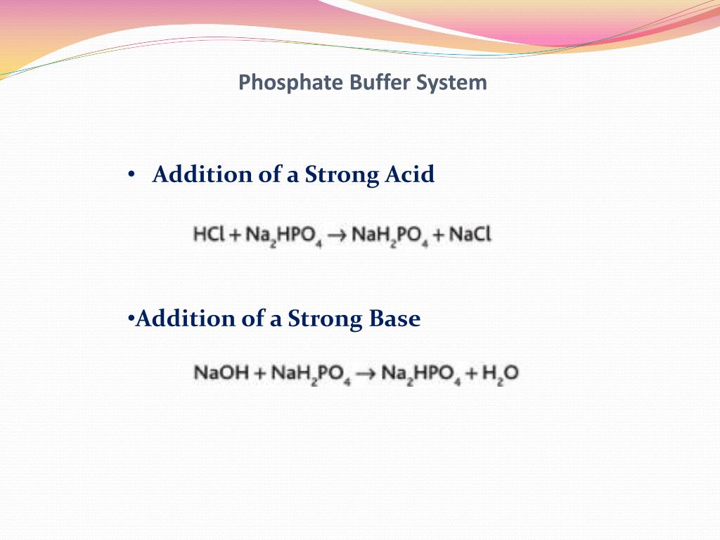 PPT Unit Five The Body Fluids and Kidneys PowerPoint Presentation, free download ID3308641