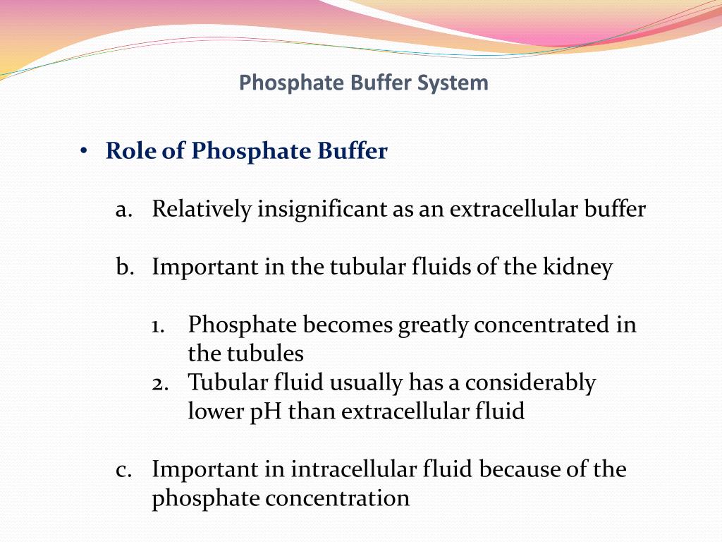 PPT Unit Five The Body Fluids and Kidneys PowerPoint Presentation, free download ID3308641