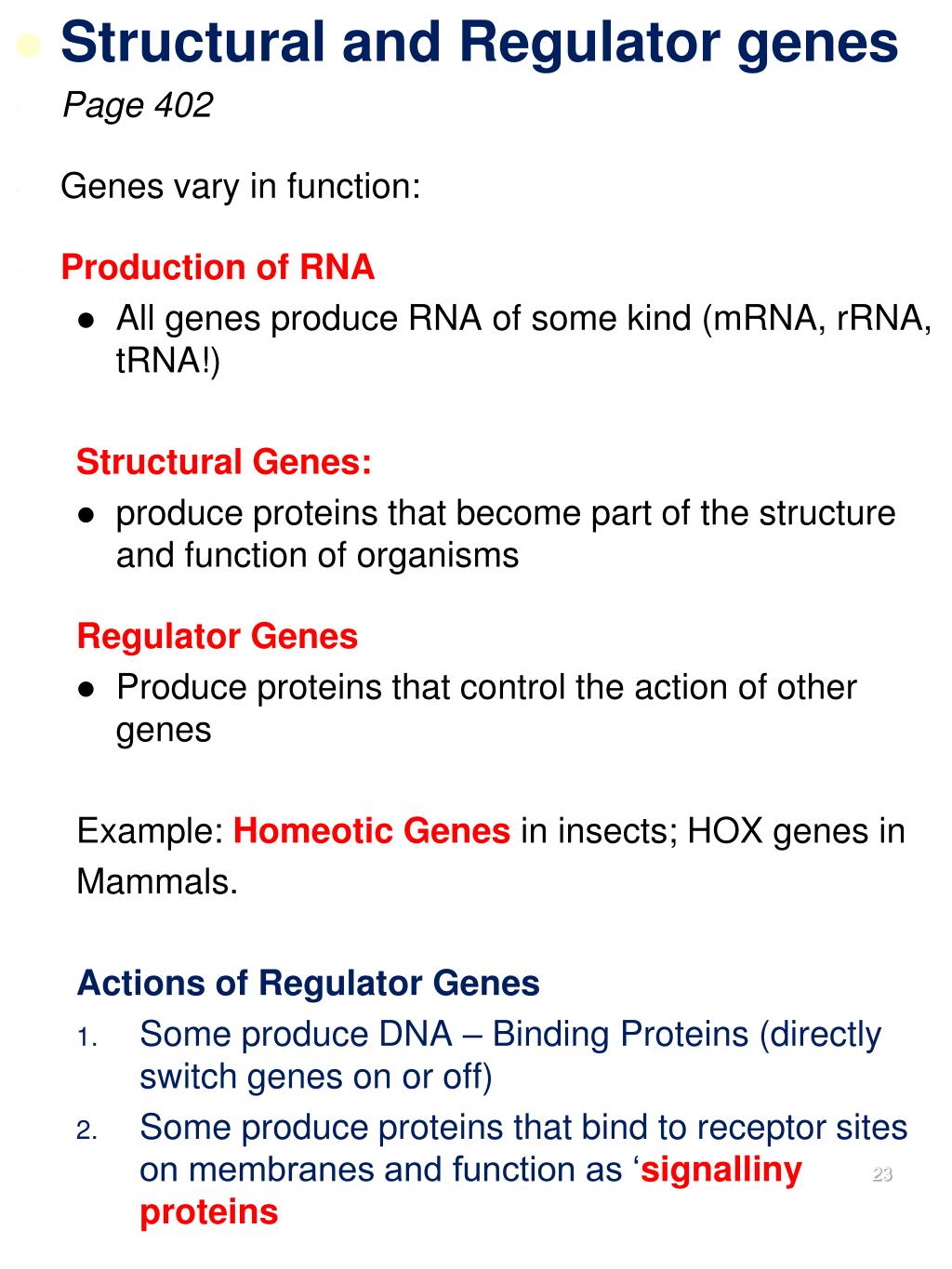 PPT Genes Function genes in action PowerPoint Presentation, free