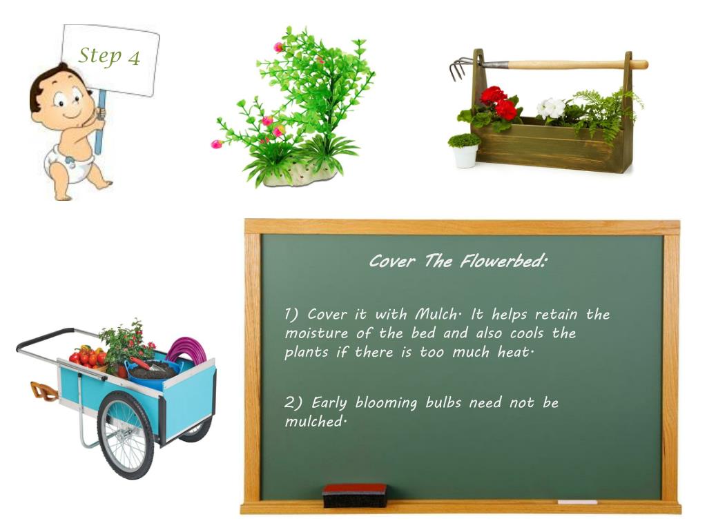 PPT How To Take Care Of Flower Bulbs PowerPoint Presentation, free