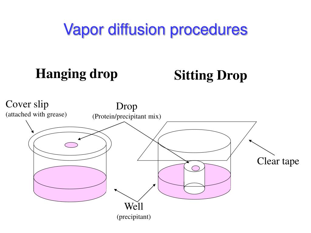 PPT Protein Purification & Crystallization PowerPoint Presentation