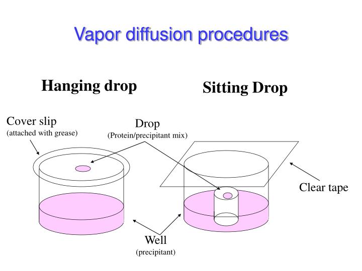 PPT Protein Purification & Crystallization PowerPoint