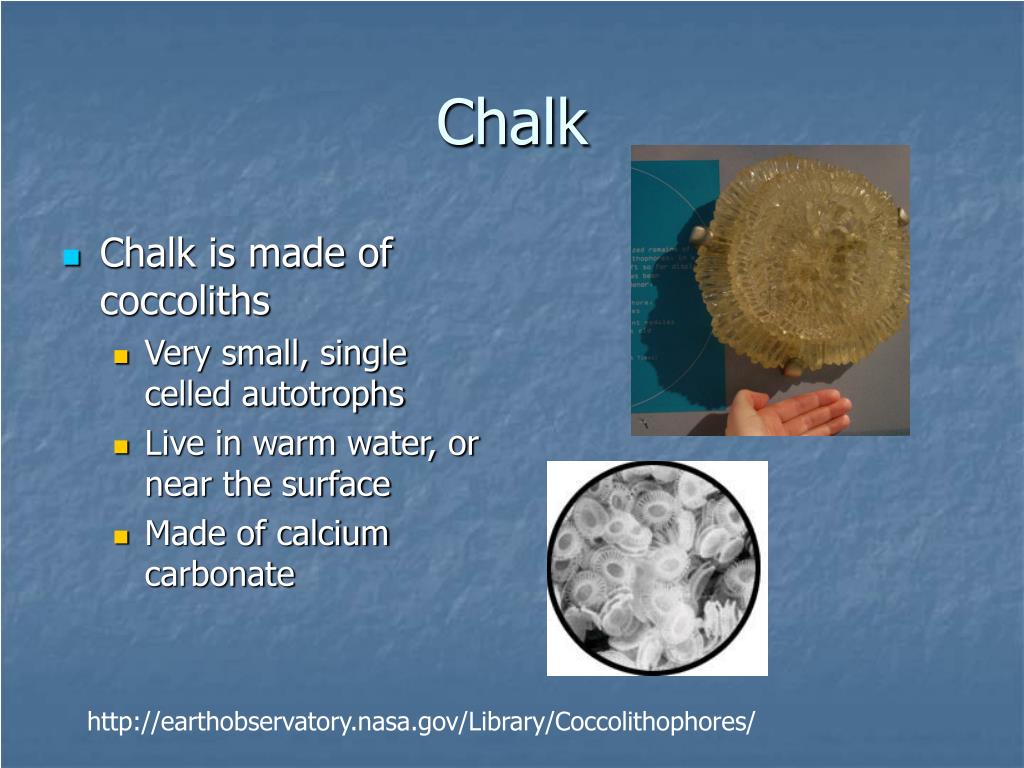 PPT The Cretaceous Chalk in Southern England By Brieanna Graham