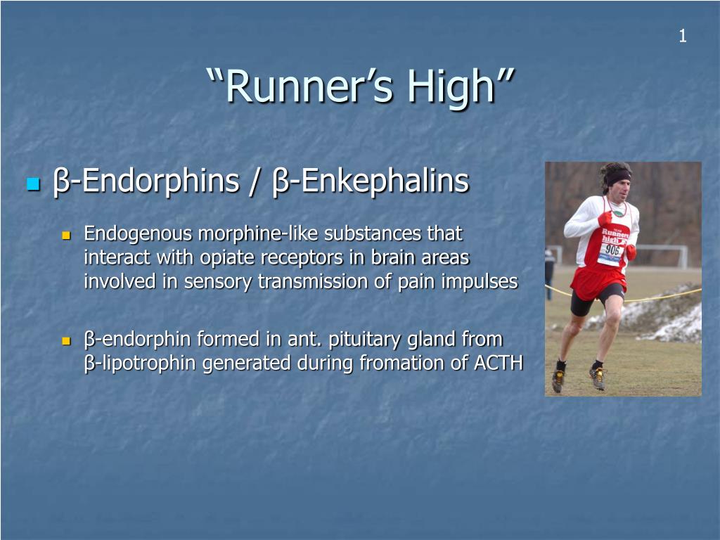 PPT Factors Affecting Performance PowerPoint Presentation, free