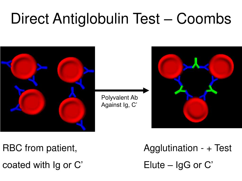 PPT Case 1 PowerPoint Presentation, free download ID3329422