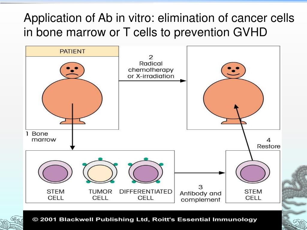 PPT Immune prophylaxis and Immunotherapy PowerPoint Presentation