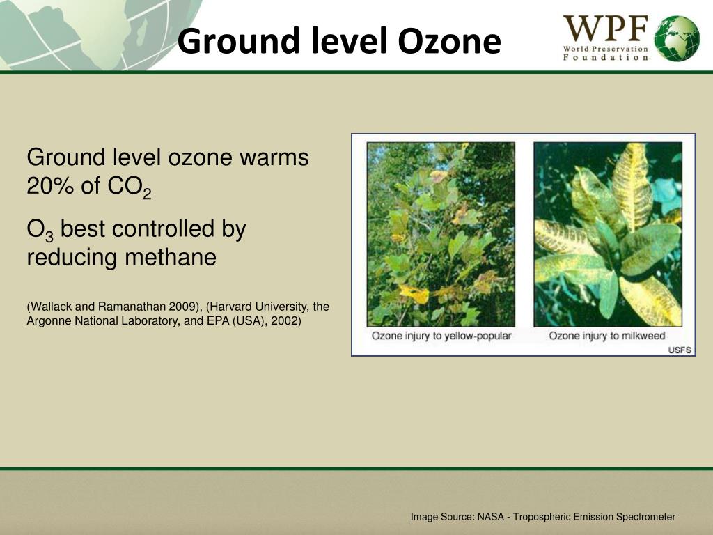 PPT Ecological Footprint PowerPoint Presentation, free download ID