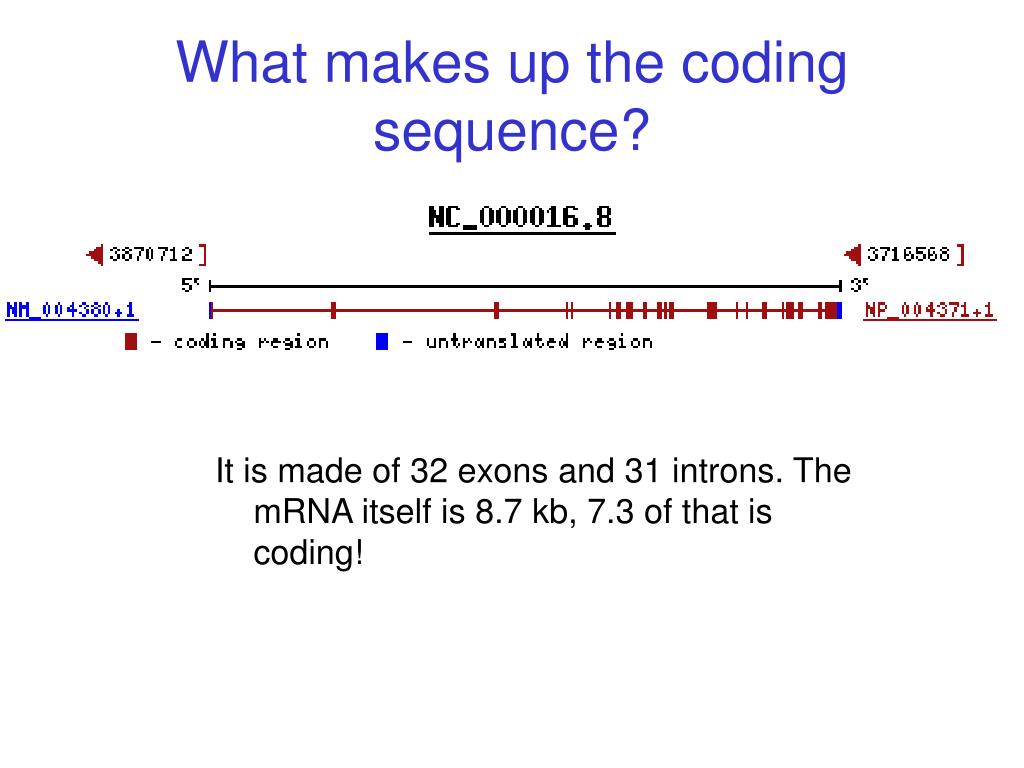 PPT What is so memorable about CREBBP? PowerPoint Presentation, free