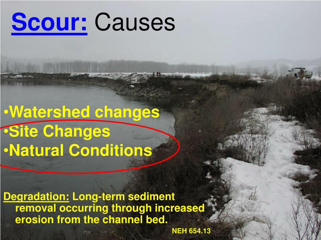 PPT Scour PowerPoint Presentation, free download ID3342859