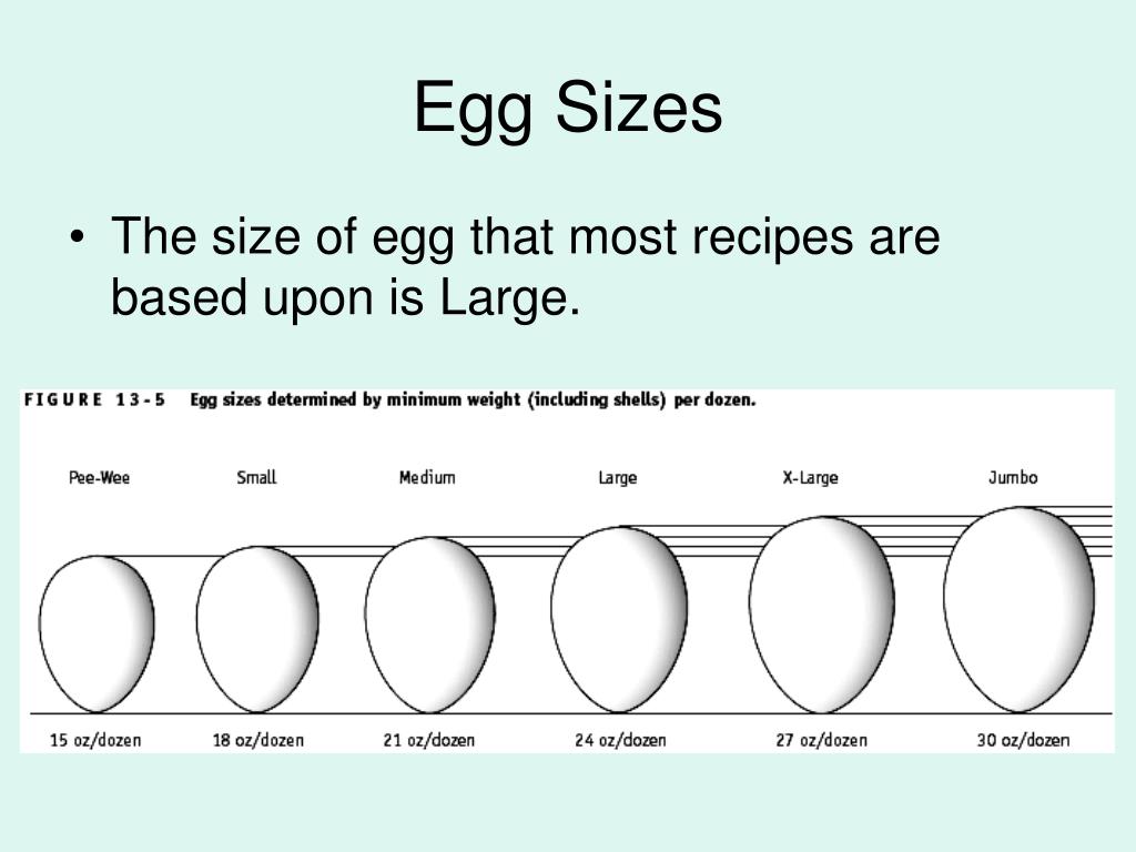 PPT Foods 1 Obj. 2.05 Understand Procedures, Equipment, & Cooking