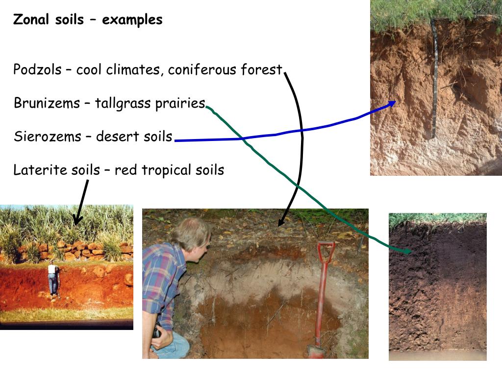 PPT Soil classification and soil maps PowerPoint Presentation, free