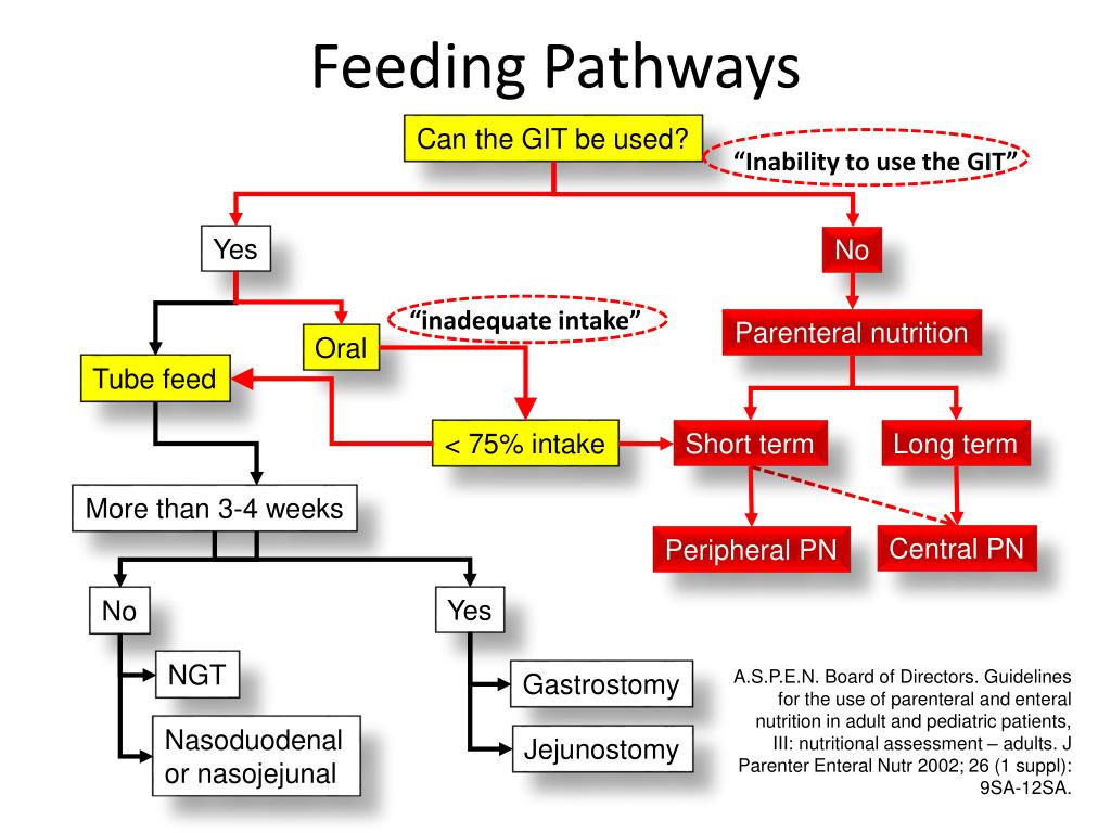 PPT Basics of enteral and parenteral nutrition PowerPoint