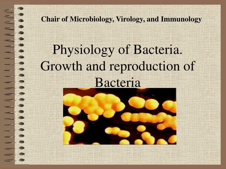 PPT Physiology of B acteria . Growth and reproduction of