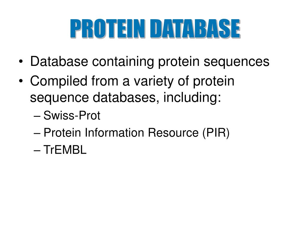 PPT PROTEIN DATABASE PowerPoint Presentation, free download ID3358882