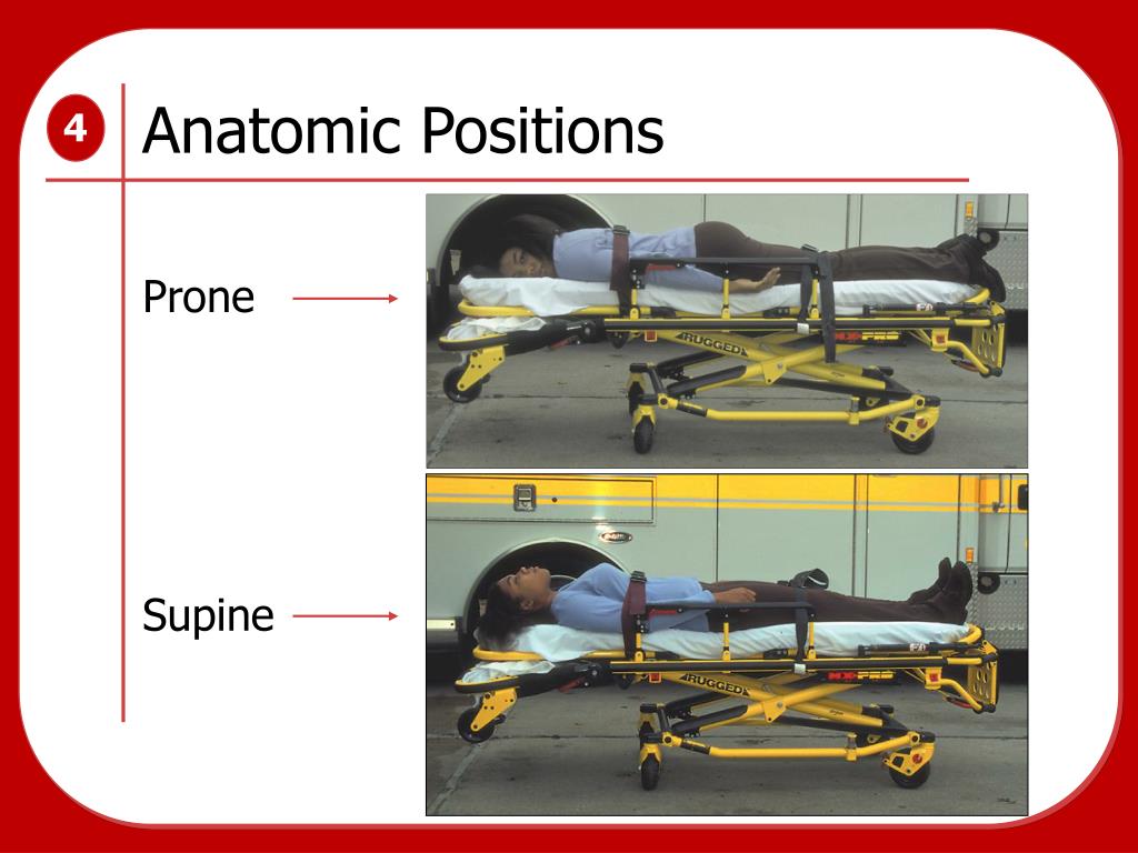 PPT King County EMS System PowerPoint Presentation, free download