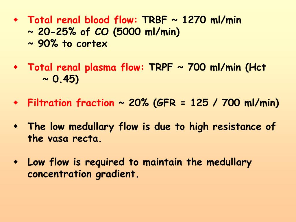 PPT Renal Blood Flow PowerPoint Presentation, free download ID3360901