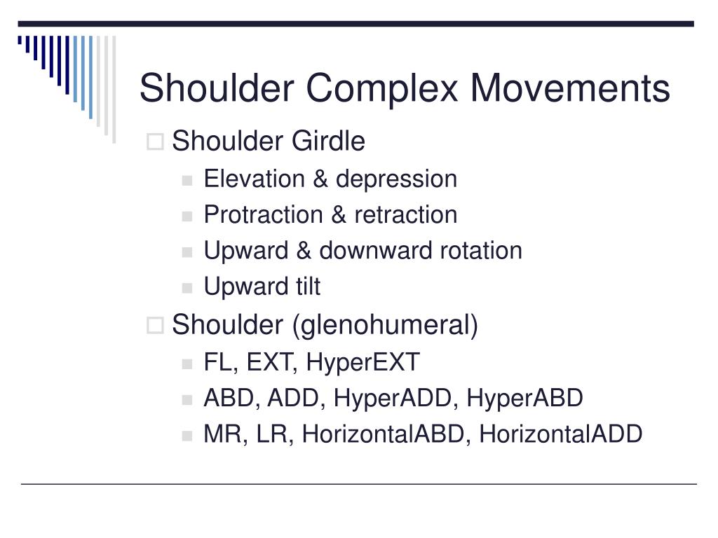 PPT The Shoulder Complex PowerPoint Presentation, free download ID