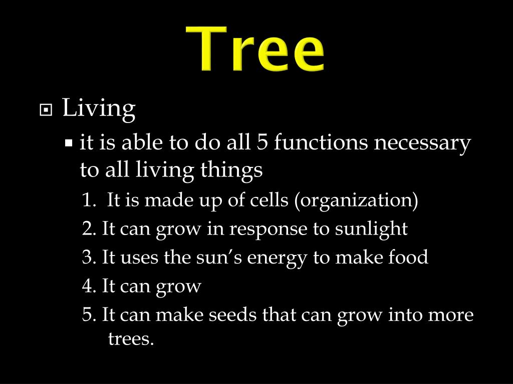 PPT Living, NonLiving, Dead PowerPoint Presentation, free download