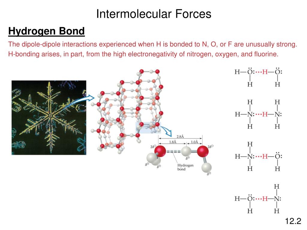 PPT Intermolecular Forces and Liquids and Solids PowerPoint